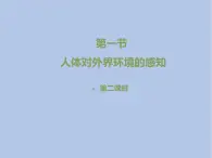 鲁科版（五四制）生物七下 4.6.1《人体对外界环境的感知》第二课时课件