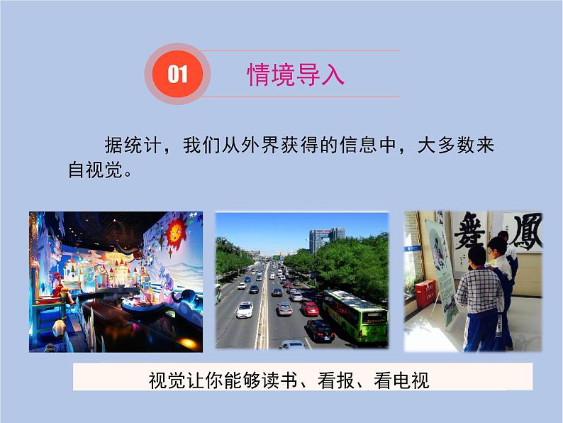 鲁科版(五四制)生物七下 4.6.1《人体对外界环境的感知》第一课时课件202
