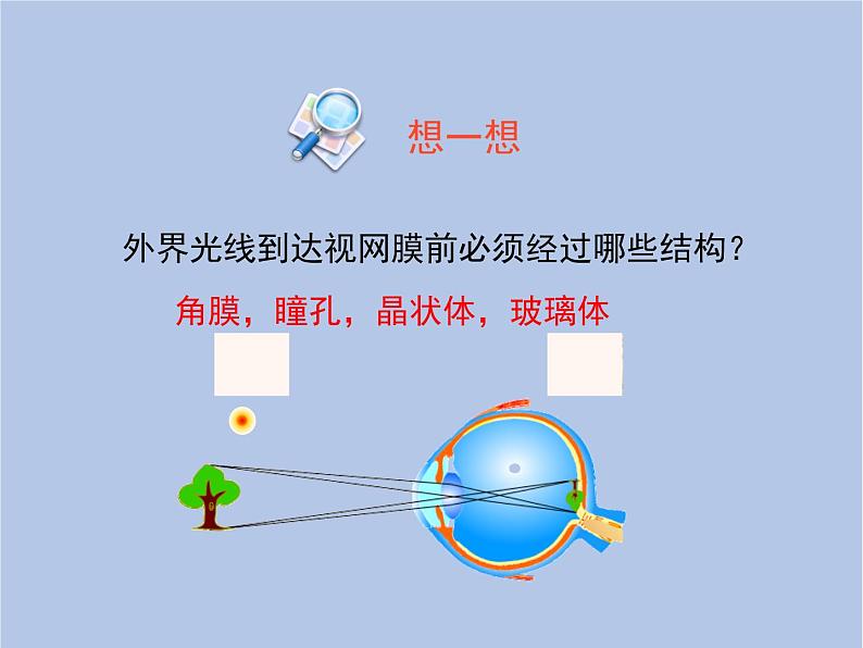 鲁科版(五四制)生物七下 4.6.1《人体对外界环境的感知》第一课时课件206