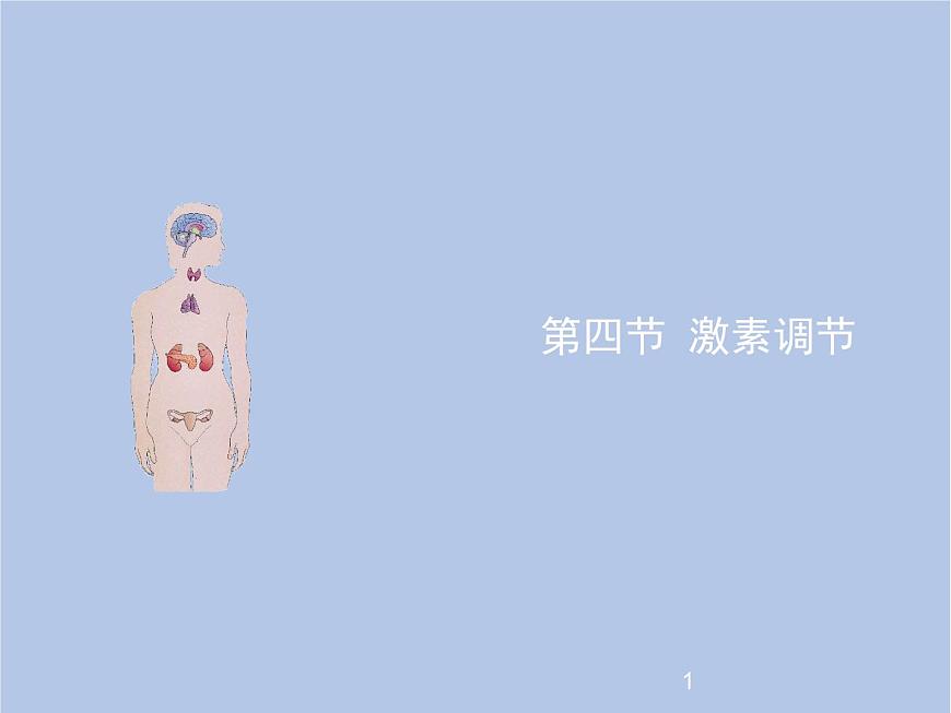 魯科版（五四制）生物七下 4.6.4《激素調(diào)節(jié)》課件1第1頁
