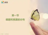 鲁科版（五四制）生物七下 6.1.1《细菌和真菌的分布》课件