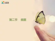 鲁科版（五四制）生物七下 6.1.2《细菌》课件1