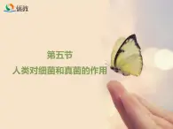 鲁科版（五四制）生物七下 6.1.5《人类对细菌和真菌的作用》课件