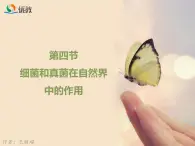 鲁科版（五四制）生物七下 6.1.4《细菌和真菌在自然界中的作用》课件