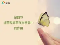 鲁科版（五四制）生物七下 6.1.4《细菌和真菌在自然界中的作用》课件2