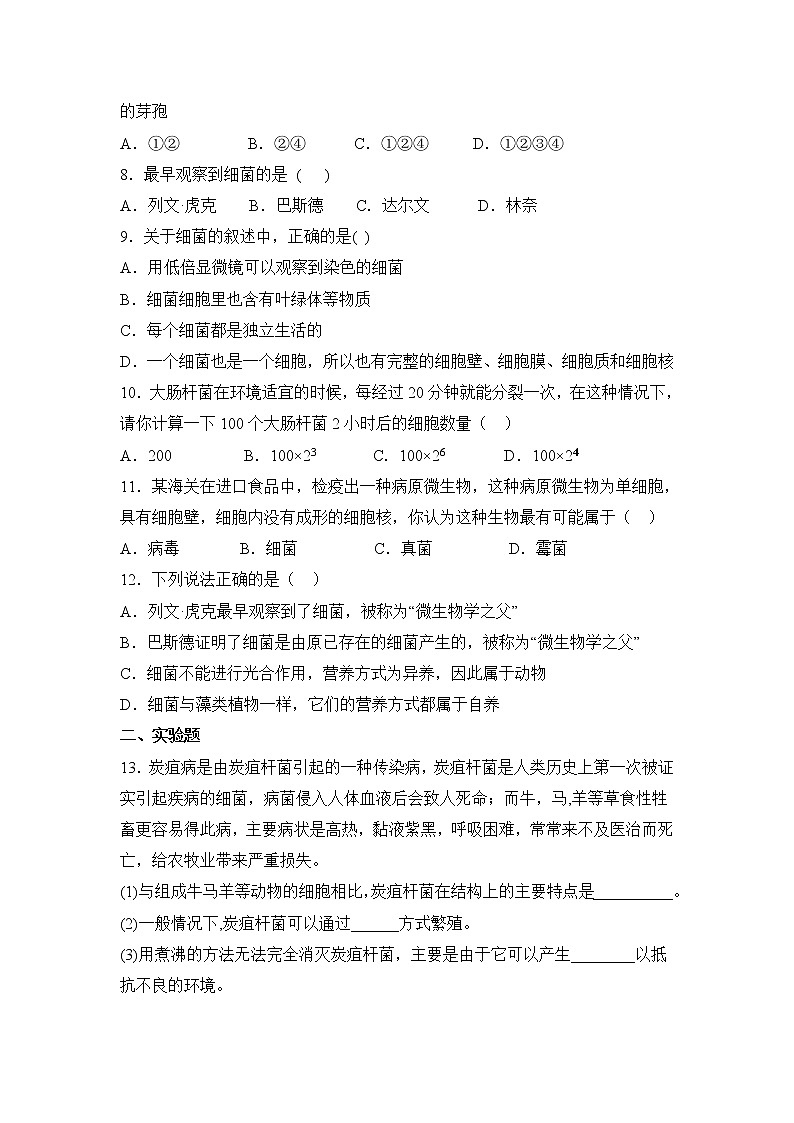 鲁科版(五四制)生物七下 《细菌》同步练习202