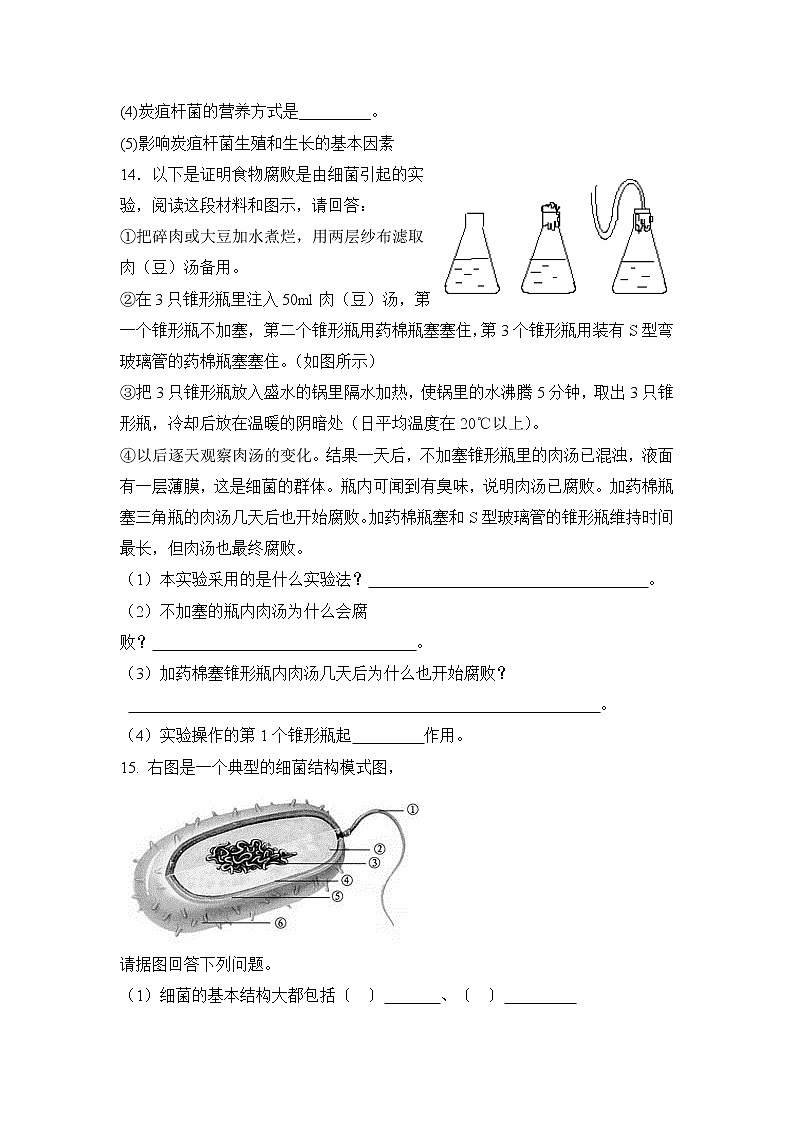 鲁科版(五四制)生物七下 《细菌》同步练习203