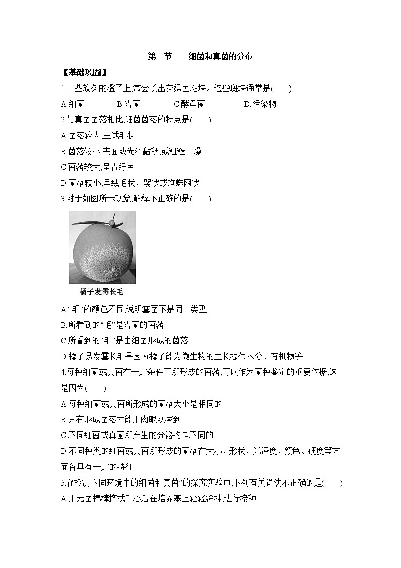 鲁科版(五四制)生物七下 《细菌和真菌的分布》同步练习3第1页