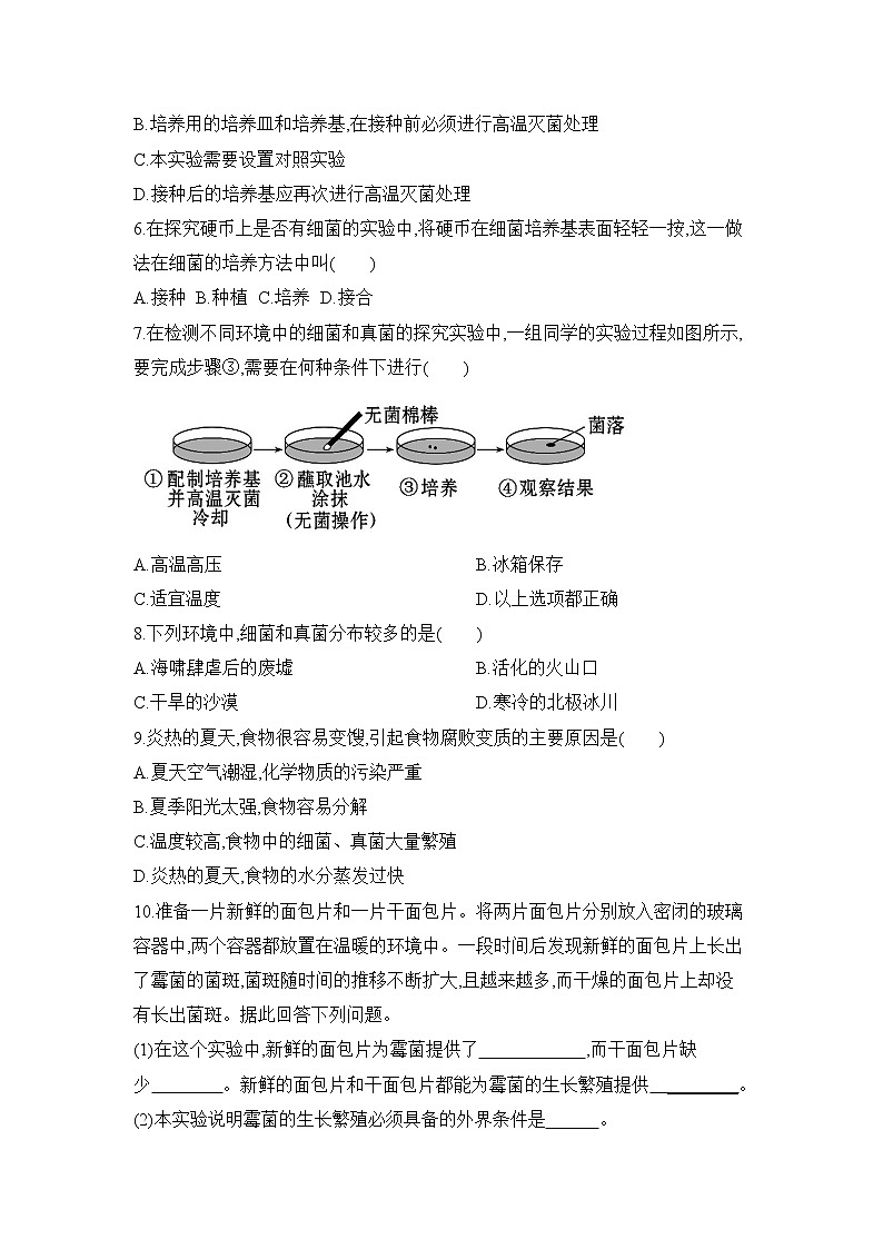 鲁科版(五四制)生物七下 《细菌和真菌的分布》同步练习3第2页
