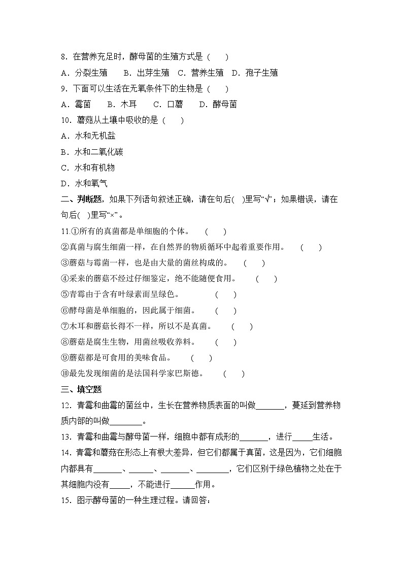 鲁科版(五四制)生物七下 《真菌》同步练习202