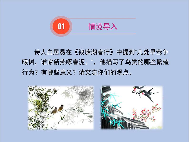 鲁科版(五四制)生物八下 8.1.3《鸟的生殖和发育》课件第2页