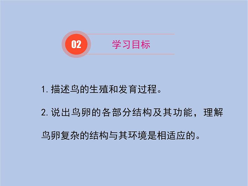 鲁科版(五四制)生物八下 8.1.3《鸟的生殖和发育》课件第3页