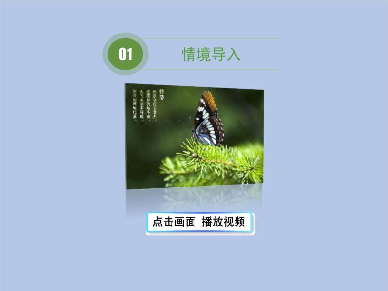 鲁科版（五四制）生物八下 8.1.2《昆虫的生殖和发育》课件02