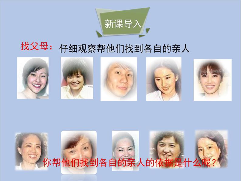 鲁科版(五四制)生物八下 8.2.2《基因控制生物的性状》课件03