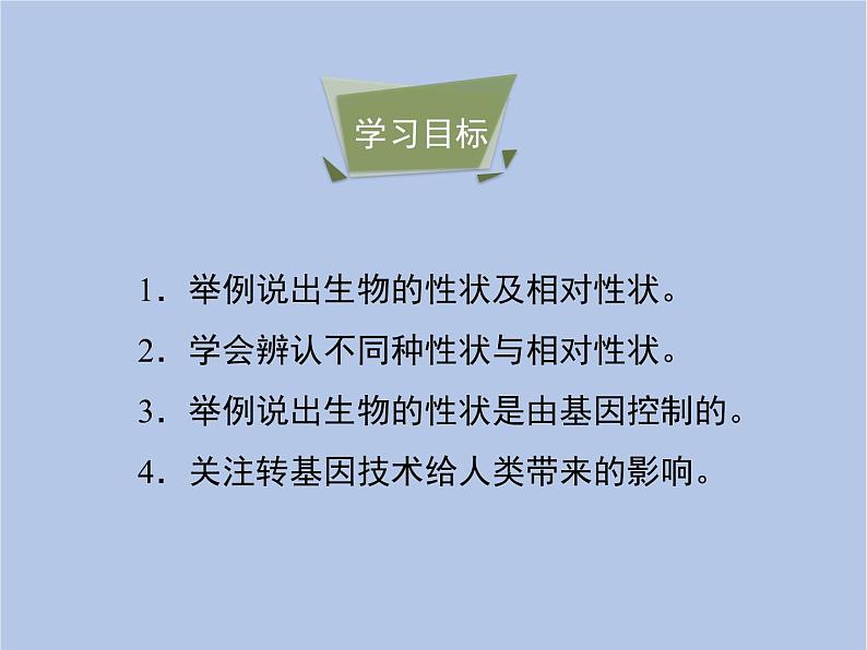 鲁科版(五四制)生物八下 8.2.2《基因控制生物的性状》课件05