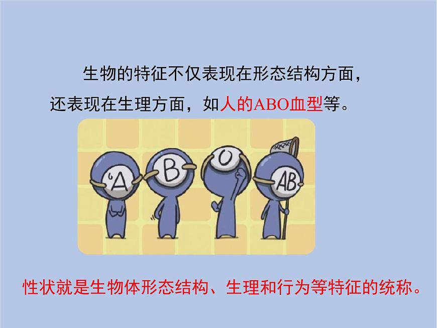 魯科版（五四制）生物八下 8.2.3《基因控制生物的性狀》課件2第8頁(yè)