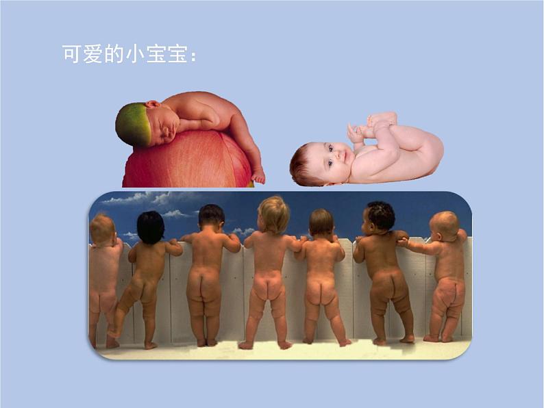 鲁科版(五四制)生物八下 8.2.4《人的性别遗传》课件02