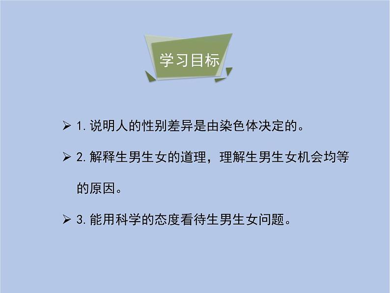 鲁科版(五四制)生物八下 8.2.4《人的性别遗传》课件1第4页