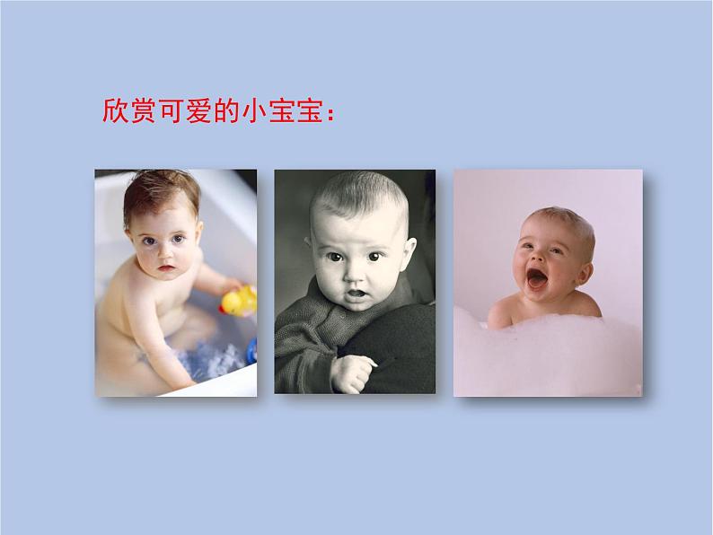 鲁科版(五四制)生物八下 8.2.4《人的性别遗传》课件1第5页