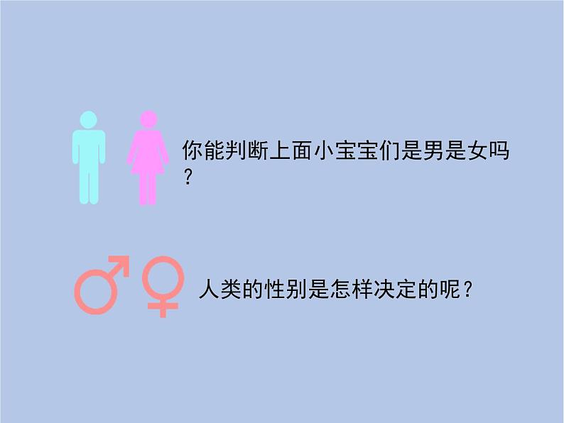鲁科版(五四制)生物八下 8.2.4《人的性别遗传》课件1第6页