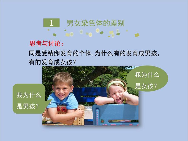 鲁科版(五四制)生物八下 8.2.4《人的性别遗传》课件1第7页