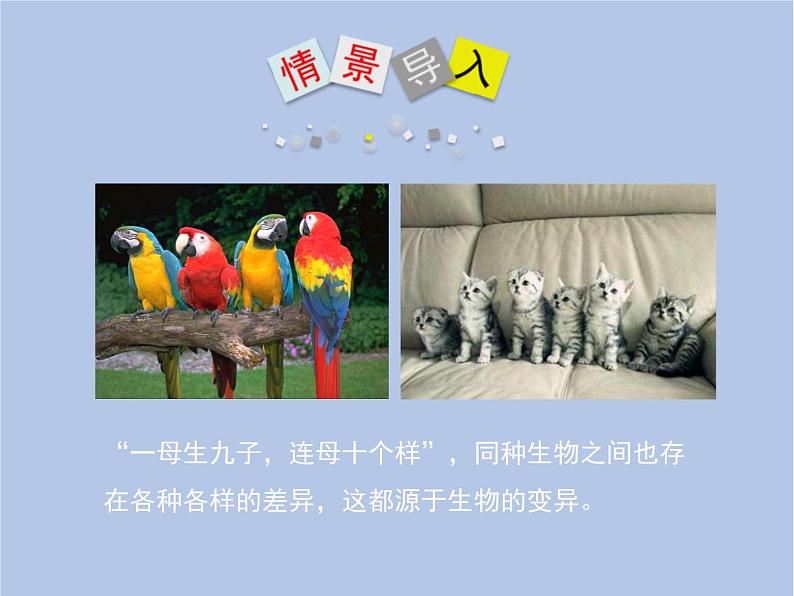 鲁科版(五四制)生物八下 8.2.5《生物的变异》课件第2页