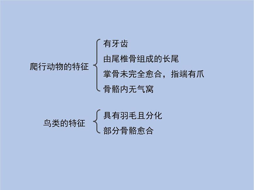 魯科版（五四制）生物八下 8.3.2《生物進(jìn)化的歷程》課件第8頁(yè)