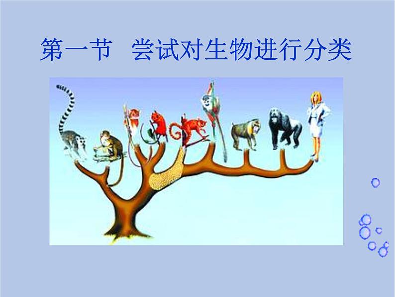 鲁科版(五四制)生物八下 9.1.1《尝试对生物进行分类》第二课时课件01
