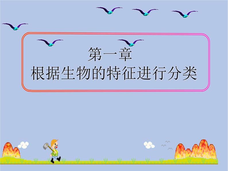 鲁科版(五四制)生物八下 9.1.1《尝试对生物进行分类》课件2第2页