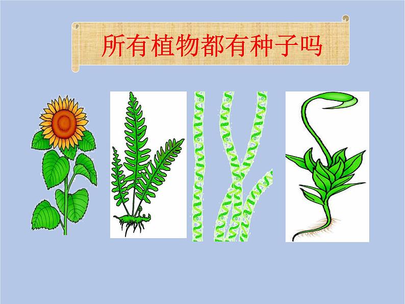 鲁科版(五四制)生物八下 9.1.1《尝试对生物进行分类》课件2第8页
