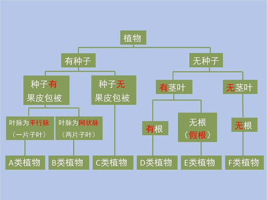 魯科版（五四制）生物八下 9.1.1《嘗試對生物進行分類》課件3第7頁