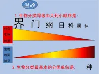 鲁科版（五四制）生物八下 9.2.1《认识生物的多样性》课件