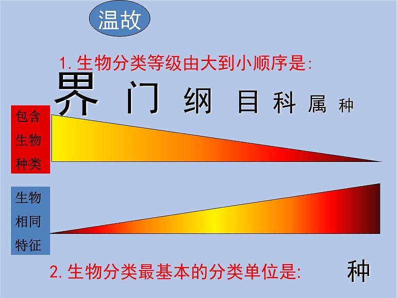 鲁科版(五四制)生物八下 9.2.1《认识生物的多样性》课件01