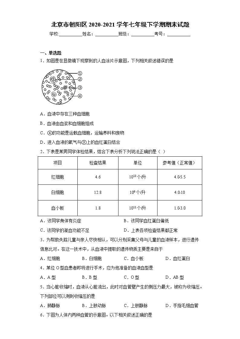 北京市朝阳区2020-2021学年七年级下学期期末生物试题(word版 含答案)第1页
