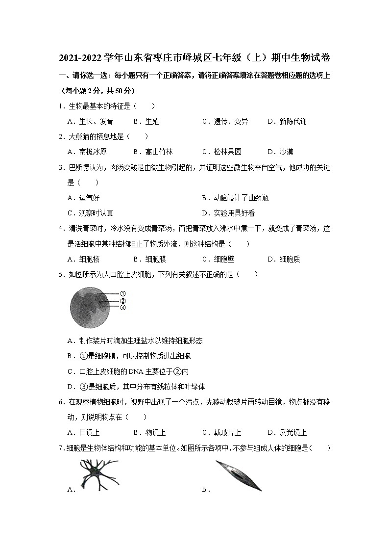 山东省枣庄市峄城区2021-2022学年七年级上学期期中生物试卷(word版 含答案)第1页