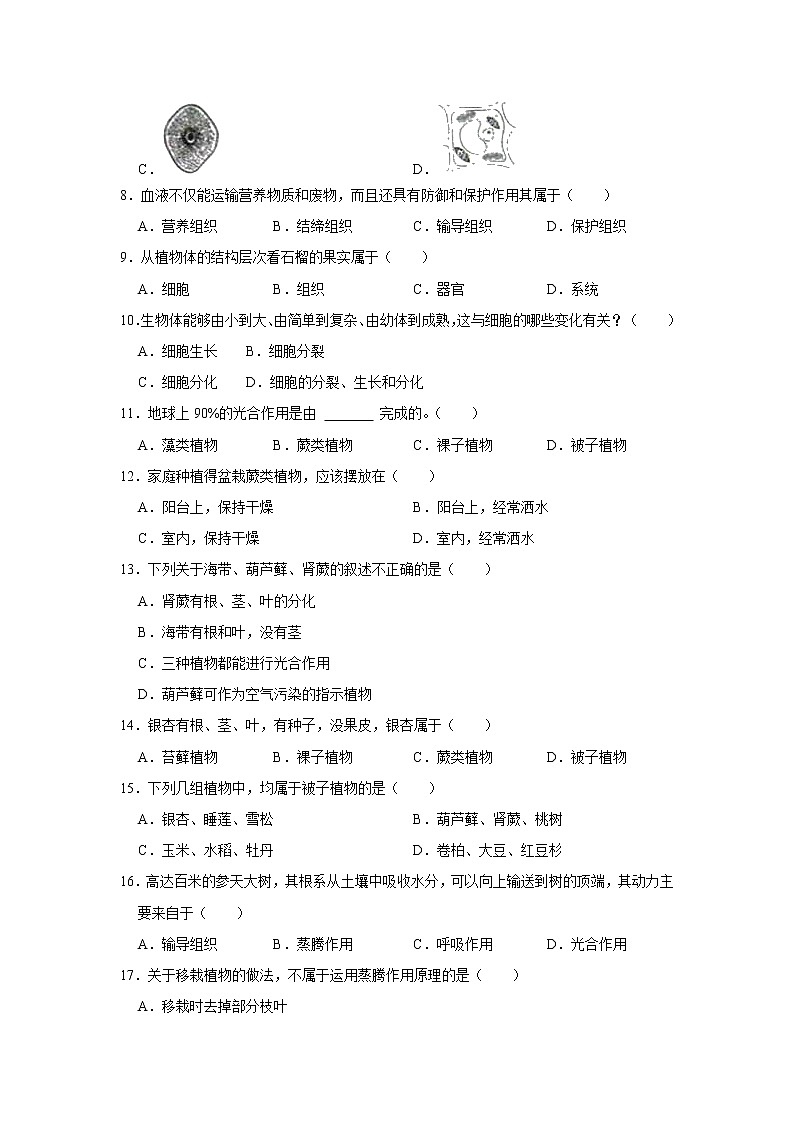 山东省枣庄市峄城区2021-2022学年七年级上学期期中生物试卷(word版 含答案)第2页