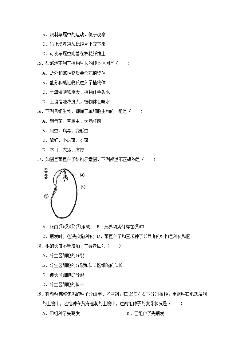 2021-2022学年河南省洛阳市洛宁县七年级上学期期中生物试题(word版 含答案)03