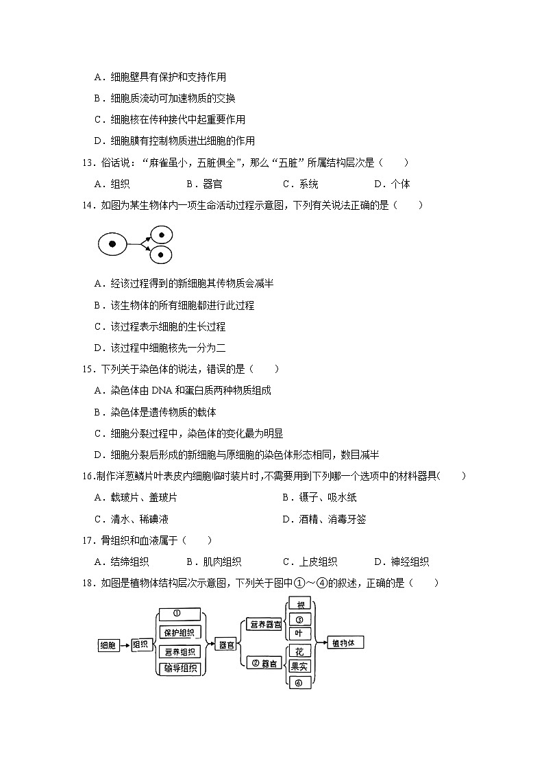 2021-2022学年河南省南阳市方城县七年级上学期期中生物试题(word版 含答案)第3页