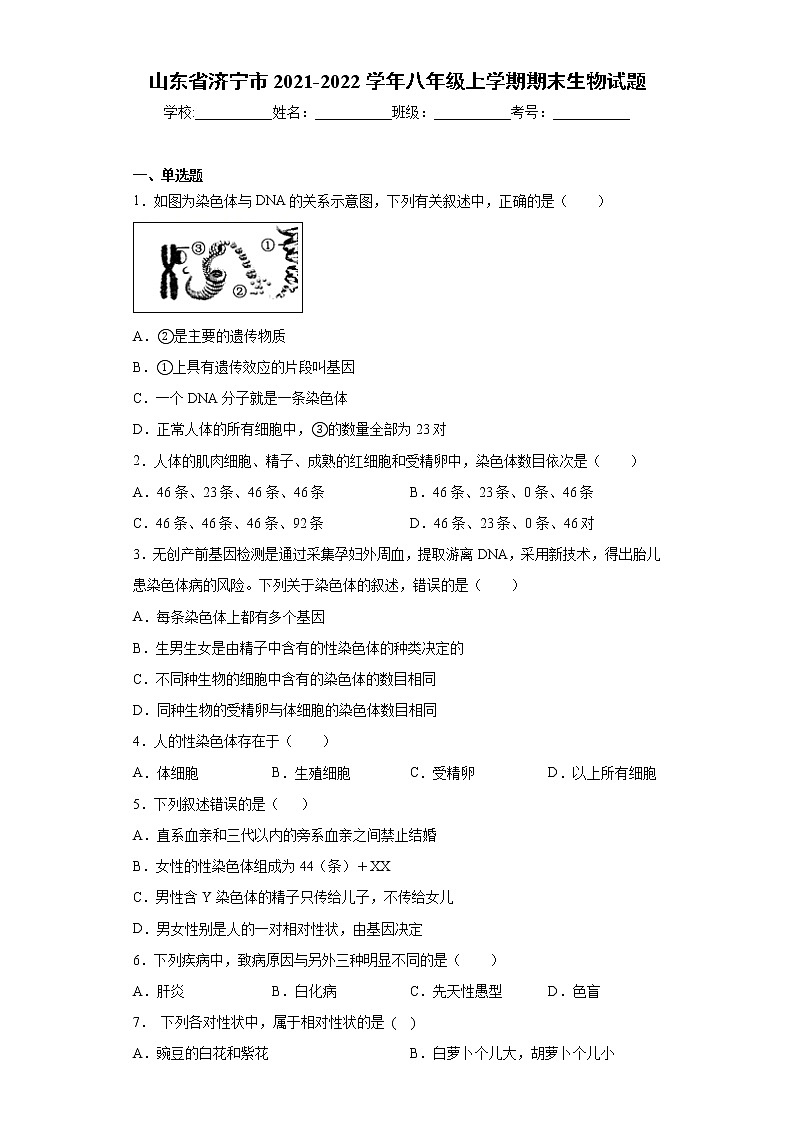 山东省济宁市2021-2022学年八年级上学期期末生物试题(word版 含答案)01