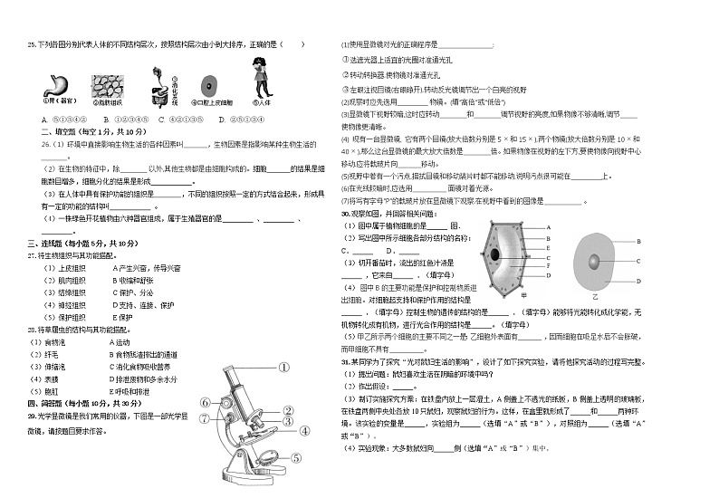 甘肃省张掖市临泽县2021-2022学年七年级上学期期中考试生物试题(word版 无答案)第2页
