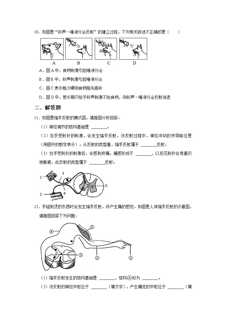 人教版生物七年级下册《神经调节的基本方式》同步练习第3页