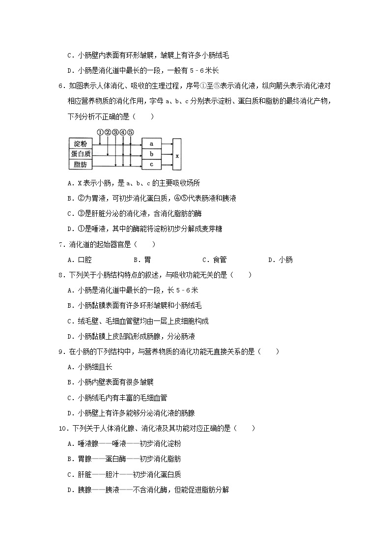 人教版生物七年级下册《消化和吸收》课件（送教案+练习）02