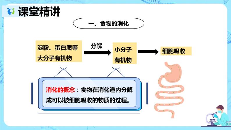 人教版生物七年级下册《消化和吸收》课件（送教案+练习）06