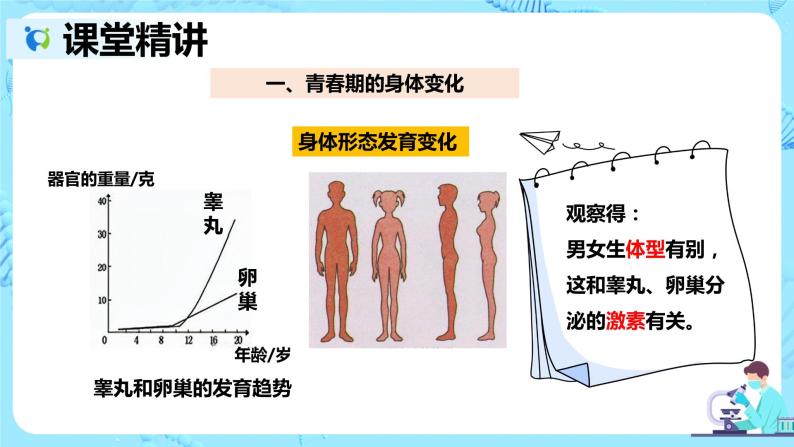 人教版生物七年级下册《青春期》课件（送教案+练习）07