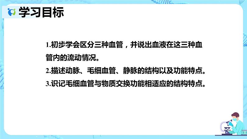 人教版生物七年级下册《血流的管道——血管》课件(送教案+练习)02