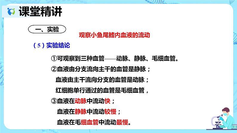 人教版生物七年级下册《血流的管道——血管》课件(送教案+练习)06