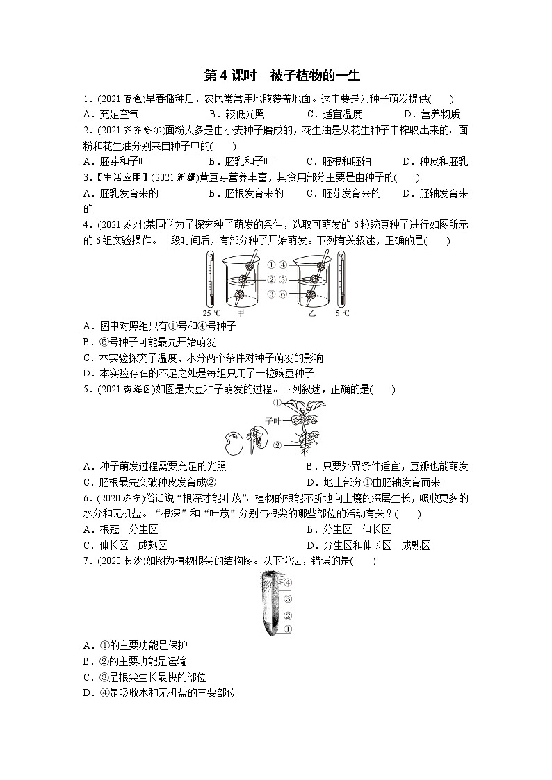 04被子植物的一生-2022年中考生物一轮复习微专题考点过关带答案第1页