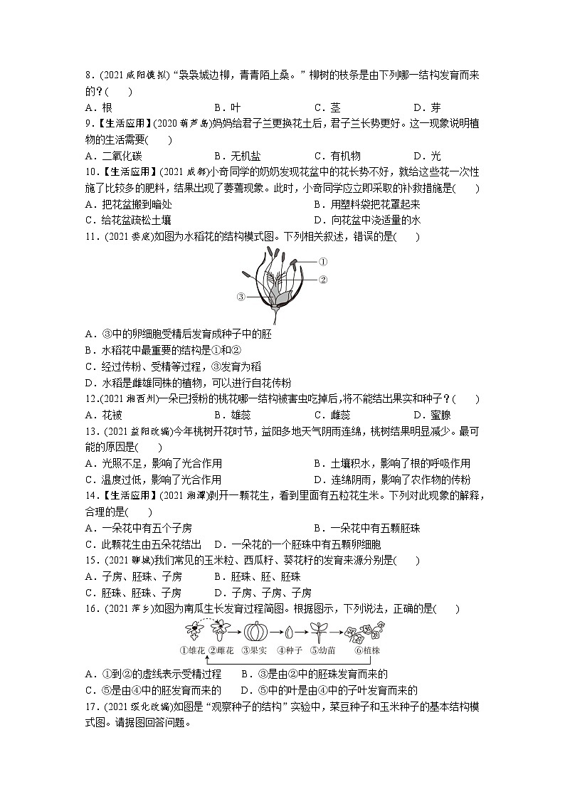 04被子植物的一生-2022年中考生物一轮复习微专题考点过关带答案第2页