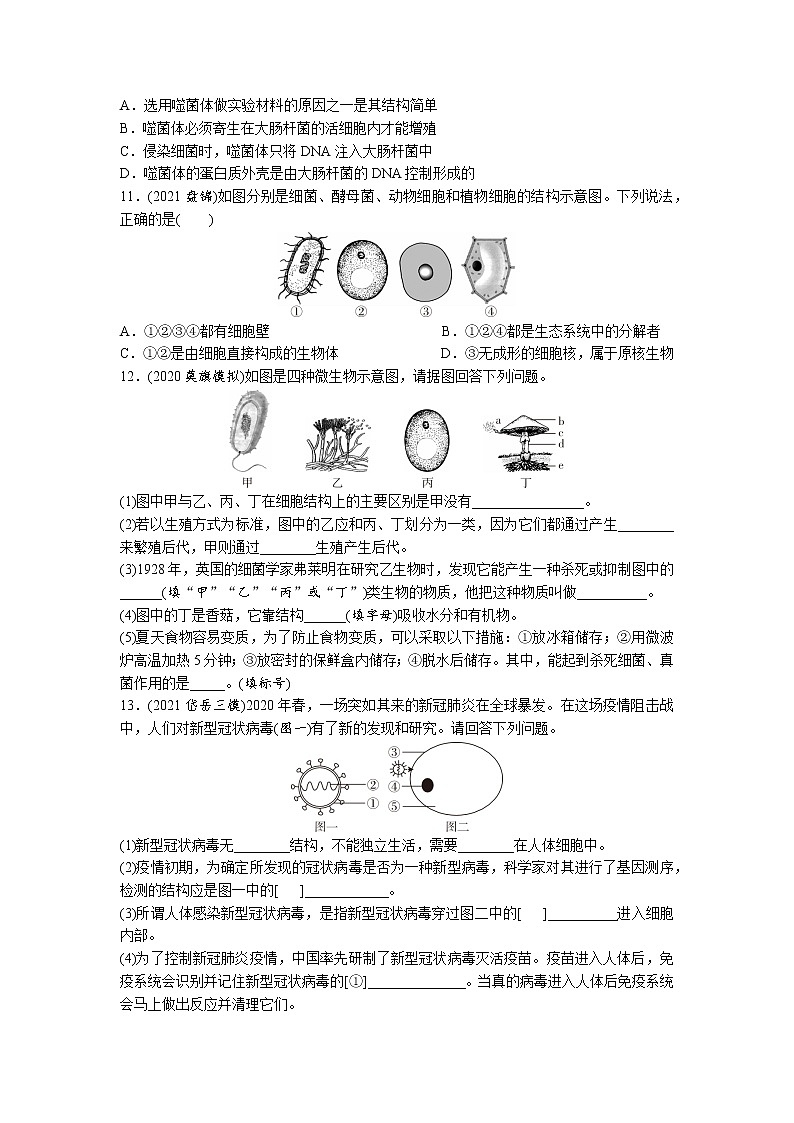15细菌、真菌与病毒-2022年中考生物一轮复习微专题考点过关带答案02
