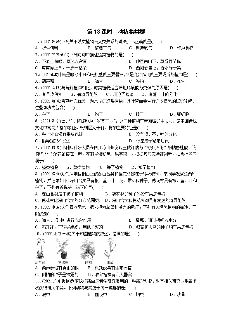 13动植物类群-2022年中考生物一轮复习微专题考点过关带答案01